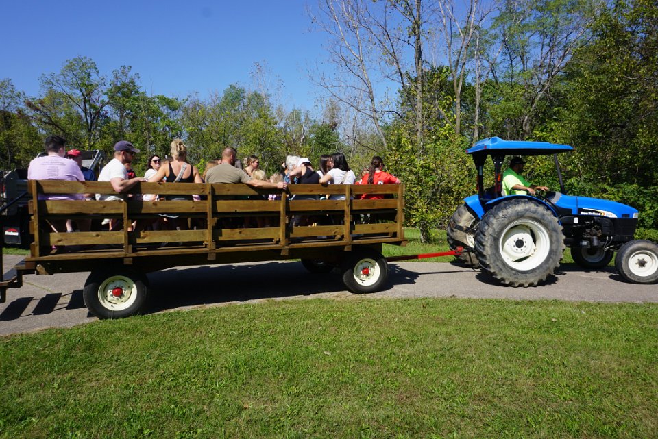Fall Festival and Car Show Event 2024